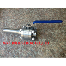 Dss Forge Ball Valve with Nipple